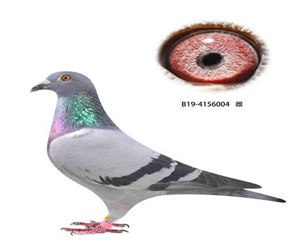 ©8
