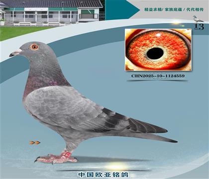 ·˹715ֱ996xֱŮ777H