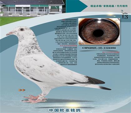 ѩ217x078ֱx217x096ֱŮ