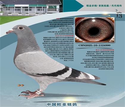 Xɣʿ048xS䌦061ֱŮ488