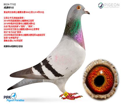 S𰢠ӾSQِ25λ
