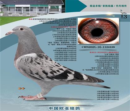 Wԭᰢ855x499H