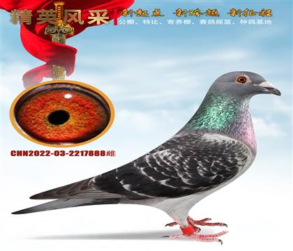 L(zhng)I(y)D˹888