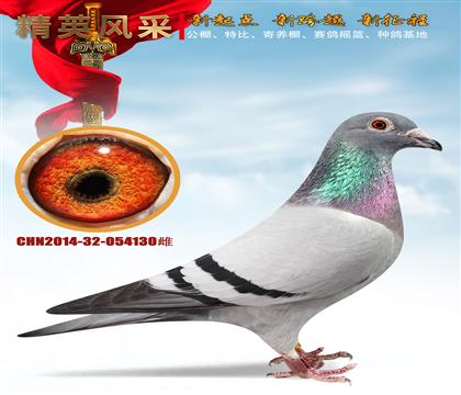 VIPN ɣʿ䌦(du)