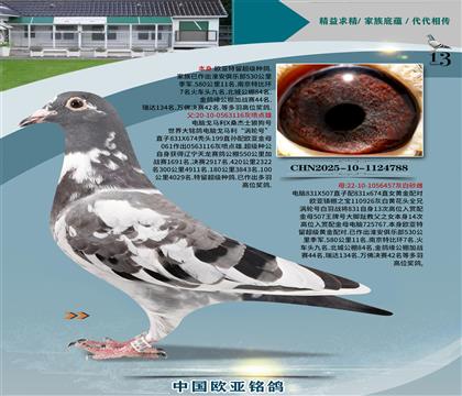 Xɣʿ061ֱ116xX457