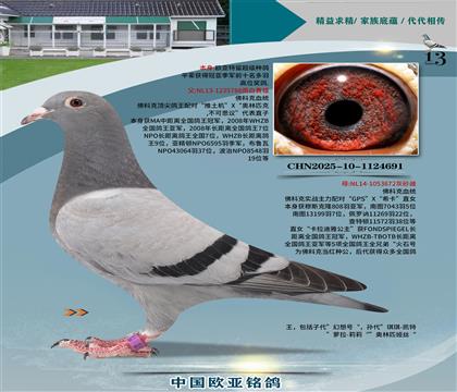 ƿԭ᲻˼h788x672
