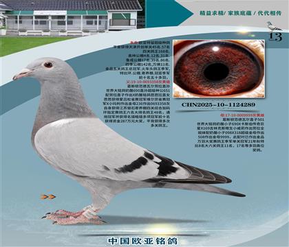 ҼB(yng)6358x501ֱŮ999
