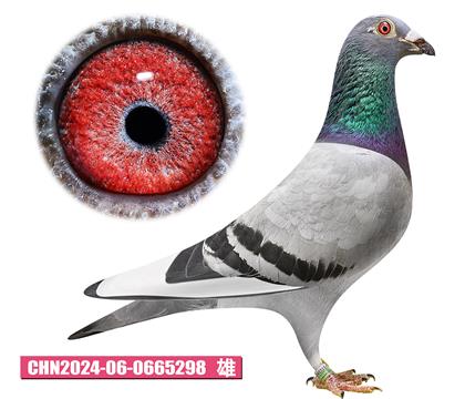 安東尼麥斯-賽洛號(hào)298