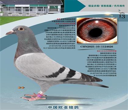 ˹D651x596H