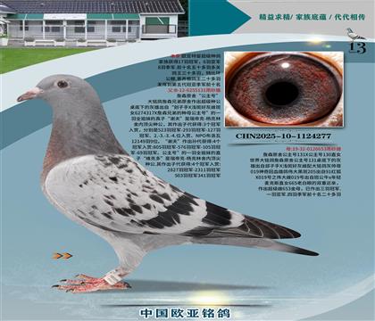 Wԭ131xŮ653HOƷ