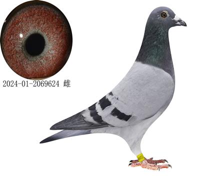 ˹21ֱŮ