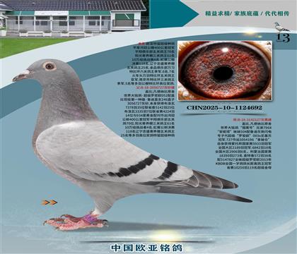 wԭꖹB(yng)61XC̖