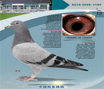 wԭᳬ(j)_ܚWXC̖(ho)S䌦(du)