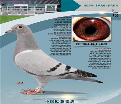 wԭᳬ(j)_ܚWXC̖(ho)S䌦(du)