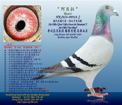 xϵҠ͡һCѪ