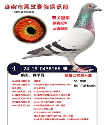 雙關(guān)冠軍 300公里預(yù)賽冠軍 500公里決賽殿軍