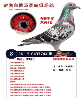 決賽季軍 雙關(guān)4名
