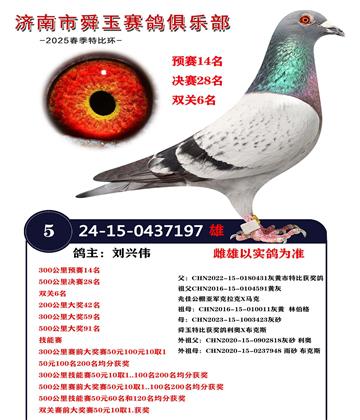 雙關(guān)6名 決賽28名 預(yù)賽14名