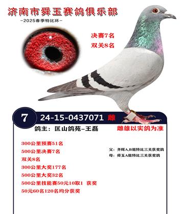 500公里決賽7名 雙關(guān)8名