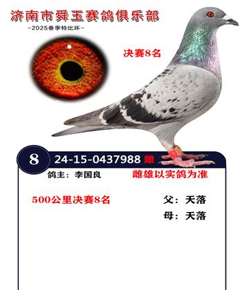 500公里決賽8名