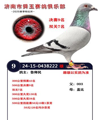 500公里決賽9名 雙關(guān)7名