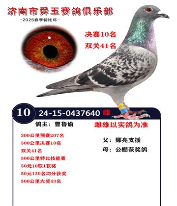 500公里決賽10名 雙關(guān)41名