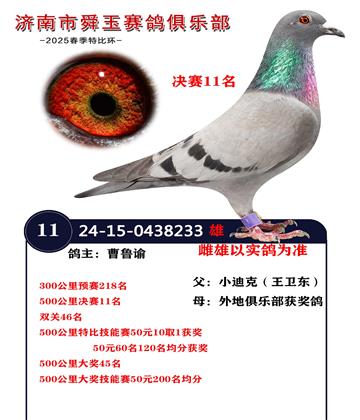 500公里決賽11名 雙關(guān)46名