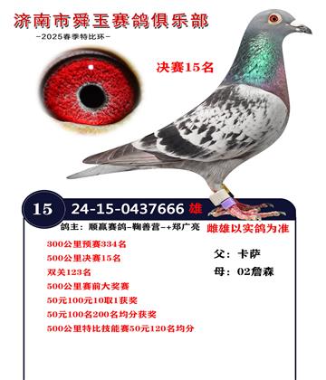 決賽15名