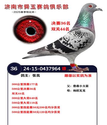 決賽36名 雙關(guān)44名