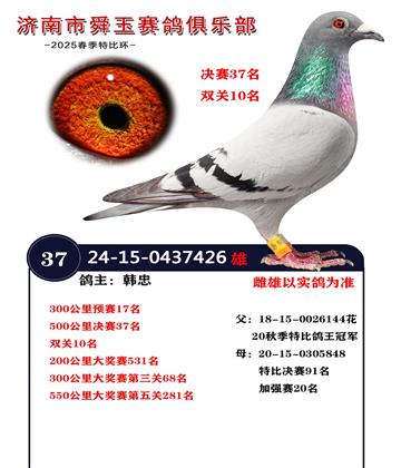 雙關(guān)10名 決賽37名