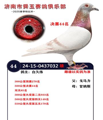 決賽44名 雙關(guān)85名