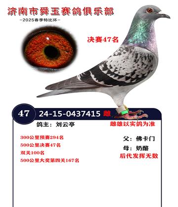 決賽47名 雙關(guān)100名