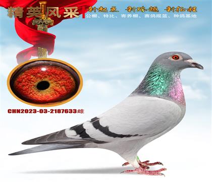 ̖wꌍ(zhn)
