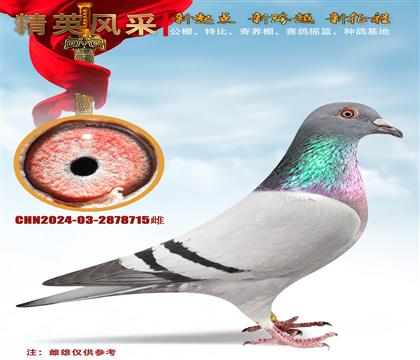 (zhn)塢