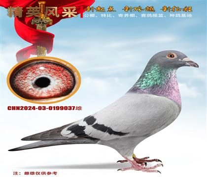(zhn)塢