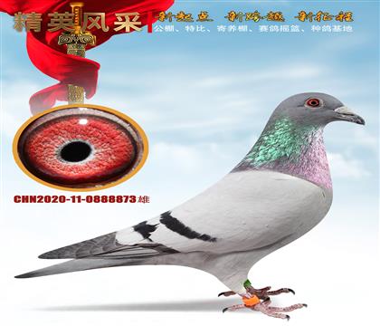 諾爾近親回血