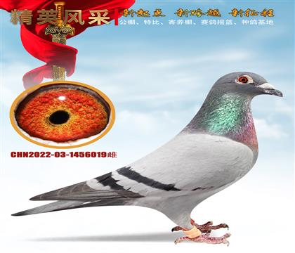 wСB