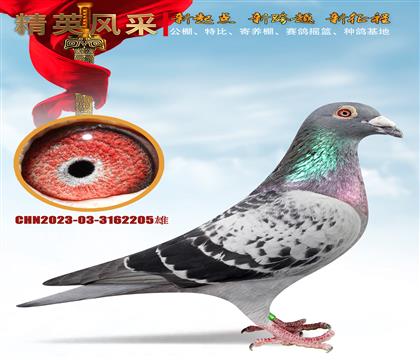 _(chung)ِƽ݅ǰʮ
