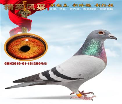 õҡ̖(ho)O