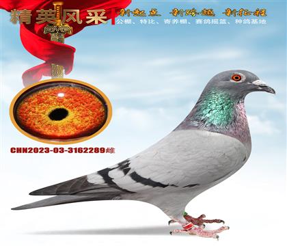 ̖(ho)HѪ幫ǰʮʮ