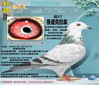 ?sh)? width=
