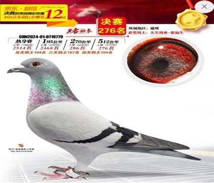 H śQِ276 104