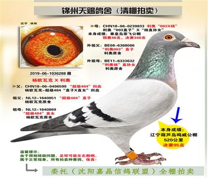 楊歐瓦克“決賽95名”