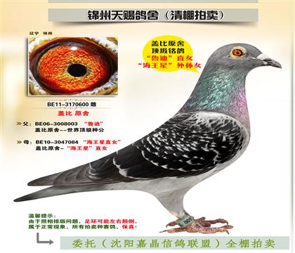 蓋比原舍-“魯?shù)稀敝迸? width=