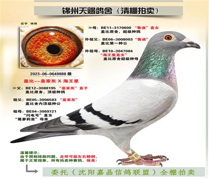 蓋比888-“決賽91名”母親
