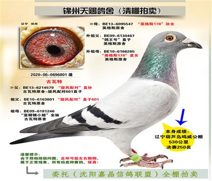 古瓦特“決賽250名”
