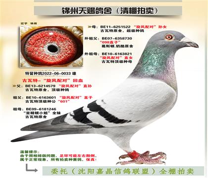 古瓦特-“旋風(fēng)配對(duì)”回血