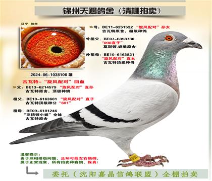 古瓦特-“旋風(fēng)配對(duì)”回血