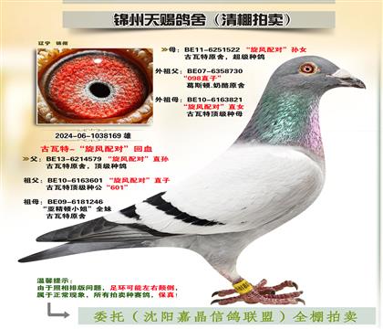 古瓦特-“旋風(fēng)配對(duì)”回血