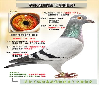 英格斯“178”多重回血
